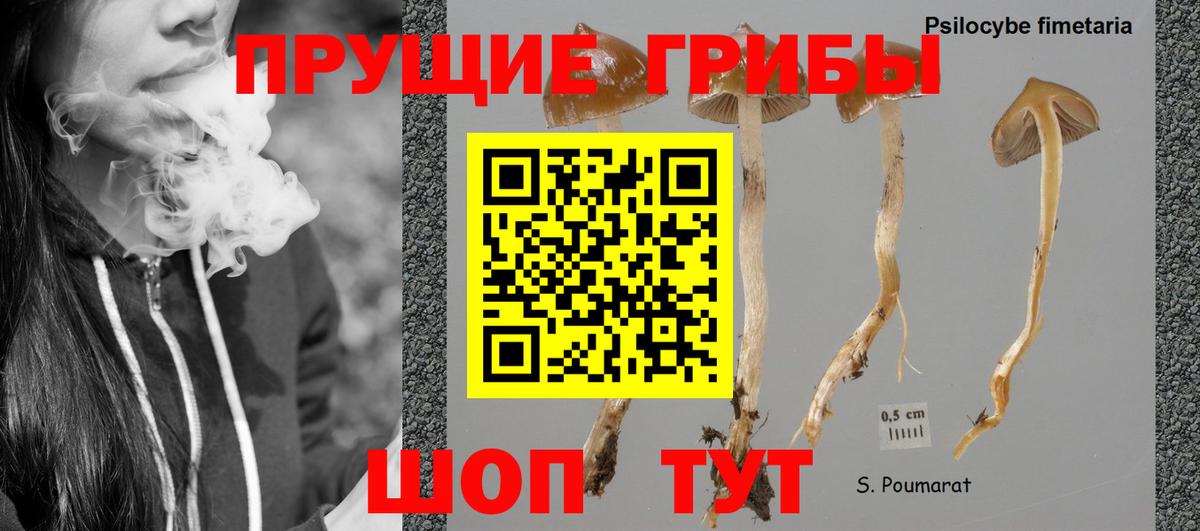 Псилоцибиновые грибы прущие грибы Слободской
